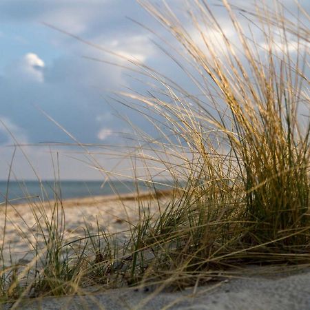 "Haus Schuldt" Lägenhet Mildstedt Exteriör bild